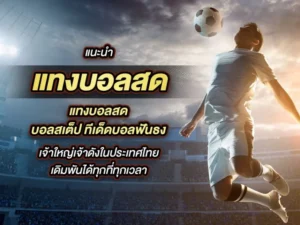 แทงบอลสด นับยังไง